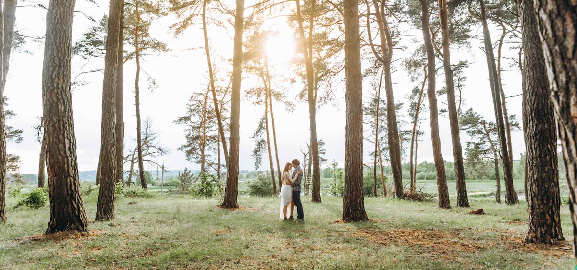 https://srphotography.co.nz/wp-content/uploads/2020/12/slider_photos_02.jpg