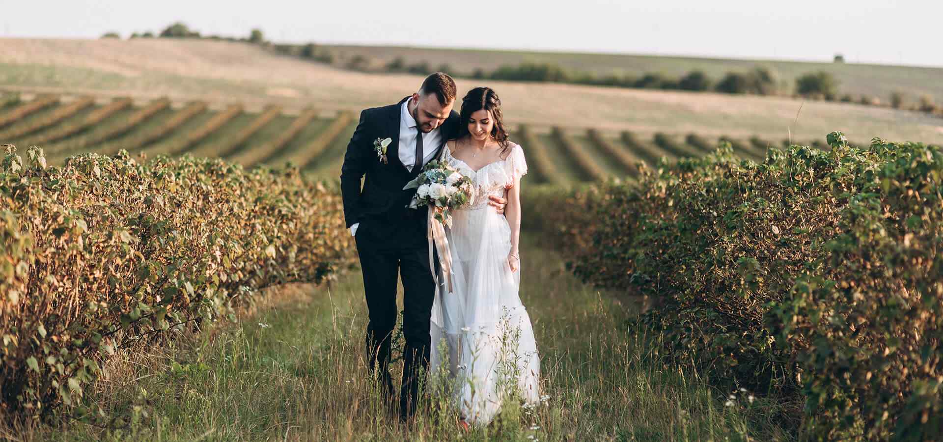 https://srphotography.co.nz/wp-content/uploads/2020/12/slider_photos_03.jpg